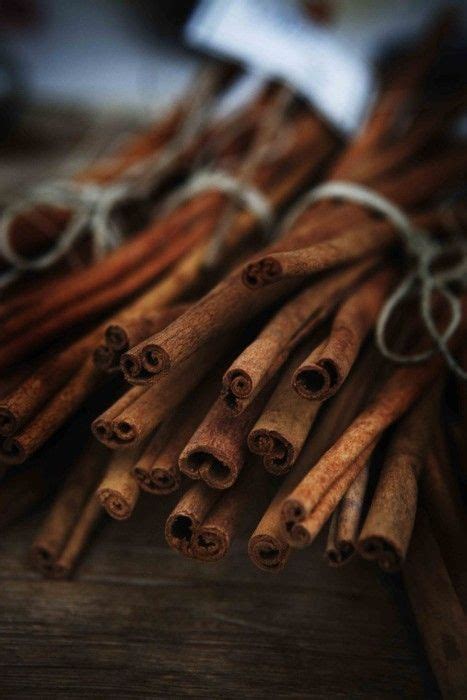 Zimt Cinnamon Healthy Cinnamon Benefits Foto Blog Spices And Herbs