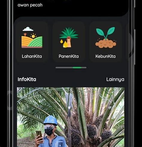 Belajar Sawit Via Android Aplikasi Sawitkita Wajib Dicoba Majalah