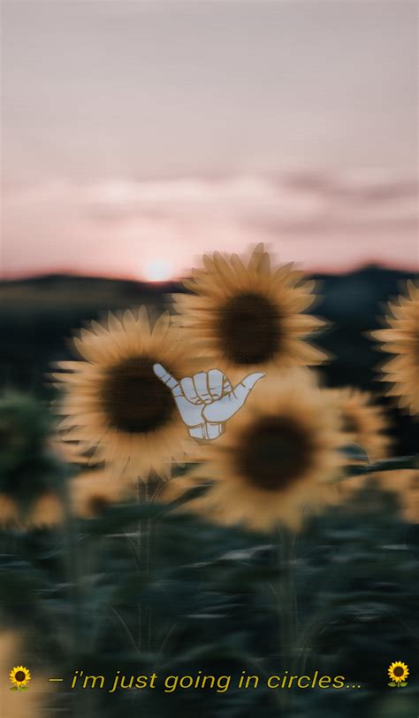 Get Background Aesthetic Pictures - the ground