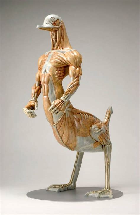 Anatomical Maquettes Of Fanciful Creatures Boing Boing
