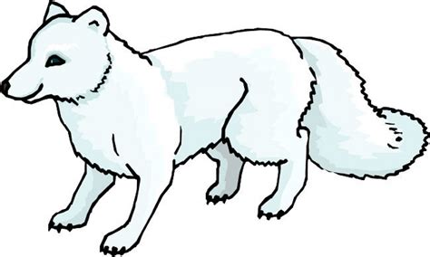 26 Best Ideas For Coloring Artic Animals Coloring Pages