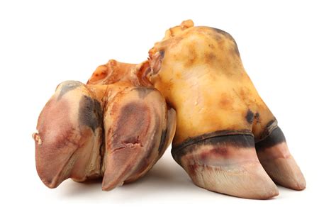 Veal Feet Sino Dos Alpes Alimentos Meat Producer