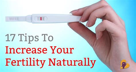 Increase Fertility Naturally Tips To Get Pregnant Mama Natural