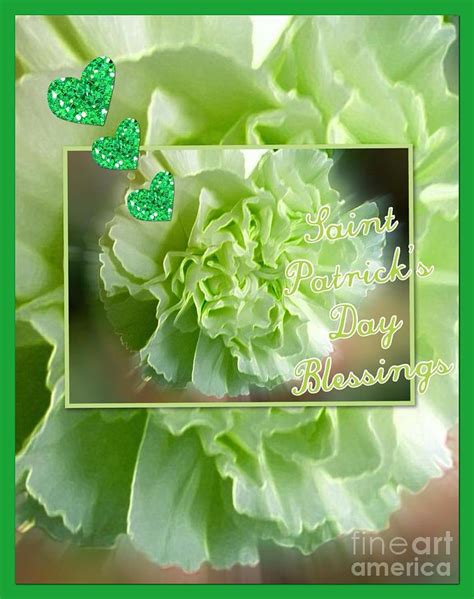 Saint Patricks Day Greeting Bordered Photograph By Joan Violet Stretch