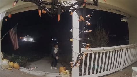 Pumpkin Thief Caught On Homeowners Doorbell Camera In Washington Fox