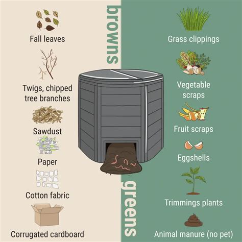 How To Layer A Compost Bin Or Compost Pile Will It Compost