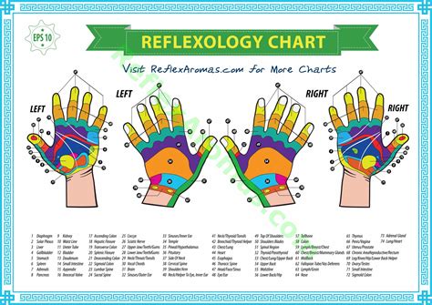 Reflexology Chart Reflexology Massage Acupuncture Charts Forge Of Empires Chart Infographic