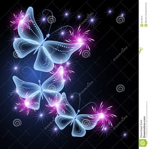 Free Download Neon Butterfly Wallpaper Butterflies And Stars X For Your Desktop