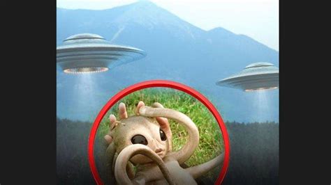 Viral Temuan Mayat Misterius Berbadan Kecil Mirip Alien Di Dekat