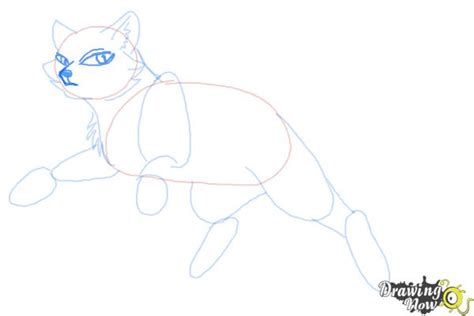 How To Draw Bluestar From Warrior Cats Drawingnow