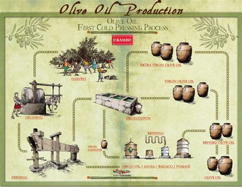 How Is Olive Oil Produced