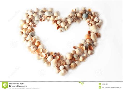 Frame Heart Of Sea Shells Stock Photography Image 10138192