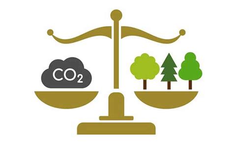 Voluntary Carbon Market And How You Can Participate