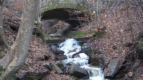 Sie entstanden, als man zur besseren versorgung des stuttgarter stadtbachs nesenbach quellwasser der oberen glems im stuttgarter pfaffenwald umleitete. Heslacher Wasserfälle - Wasserfälle mitten in Stuttgart