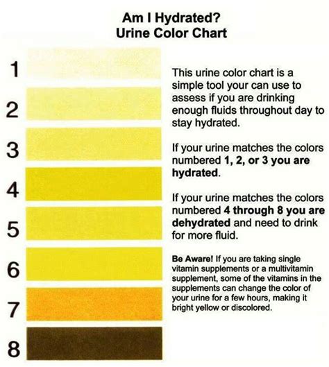 Am I Hydrated Urine Color Chart Homesteadingnatural Living Health