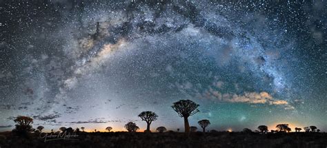 Quiver Tree Forest Milky Way Composite Of 10 Vertical Shot Flickr