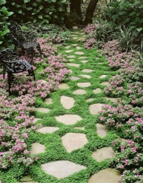 On A Budget Plants And Ground Cover For Your Walkways 21 Outdoor