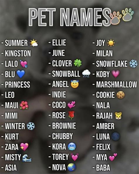 Pet Names💕 Dog Names Cute Puppy Names Cute Pet Names