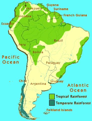 Rainforests have an extraordinarily large number of. Biome location - Amazon Rainforest