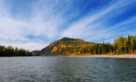Siberian Autumn Landscape On The River Stock Photo Image Of Pebbles