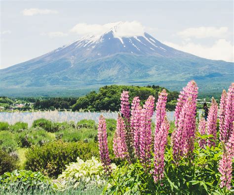Most Beautiful Places In Japan Japan Wonder Travel Blog