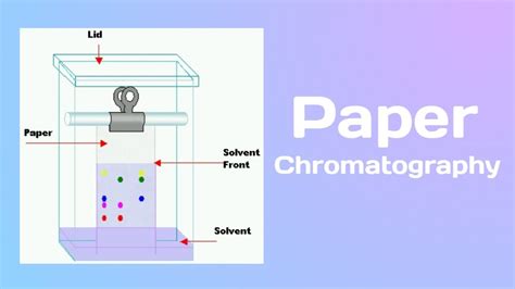 Paper Chromatography Explained YouTube