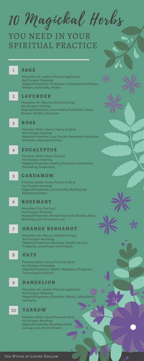 10 Magickal Herbs You Need In Your Spiritual Practice Artofit