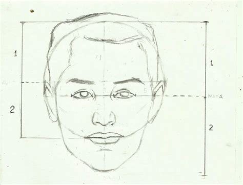 Gambar Teknik Menggambar Sketsa Wajah Proporsi Manusia Gambar Lukisan Muka Di Rebanas Rebanas