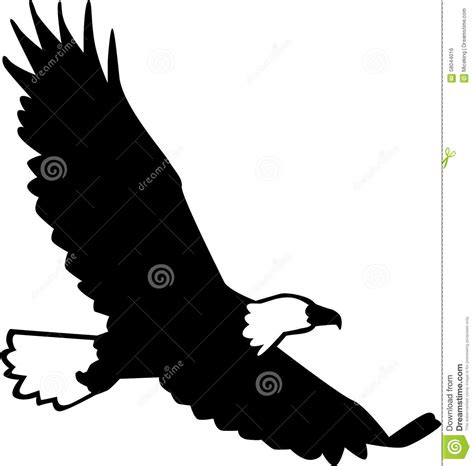 Bald Eagle Silhouette Flying Stock Vector Image 58044016