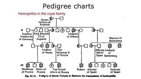 Solved Genetics Below Is A Pedigree Chart Illustrating