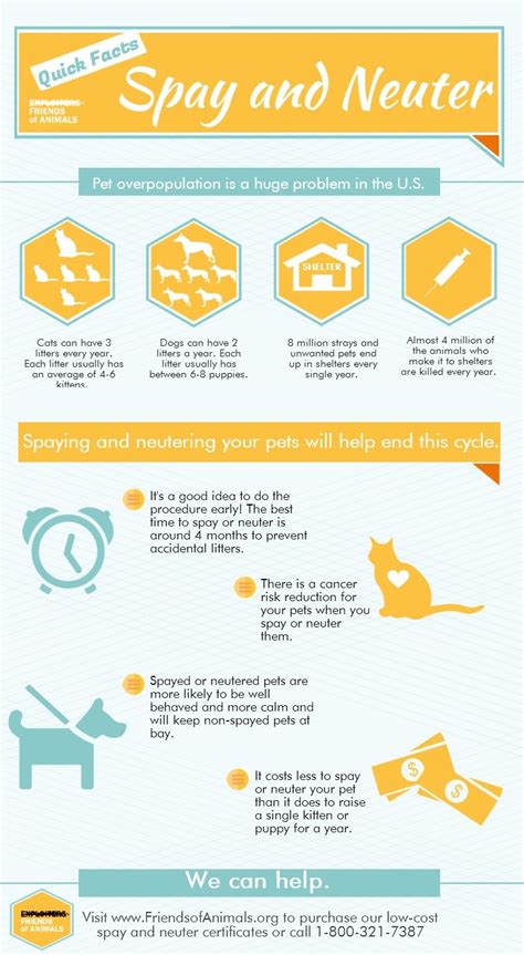 But vet care can be very costly, and if you're unemployed, living on a low income, or just going through a tough phase financially, affording it can be difficult, if not impossible. Pin by Coalition for Pets on Spay or Neuter your Pet ...