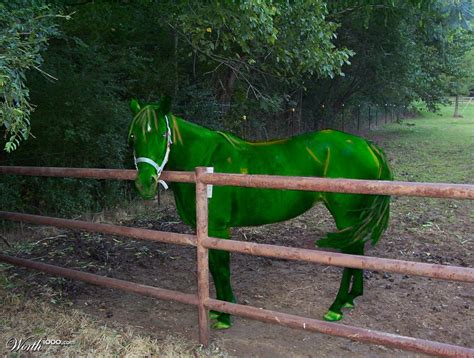 A Green Horse Literally Worth1000 Contests