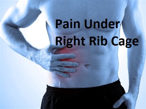 What Body Parts Are Under The Rib Cage What Causes Pain Under The