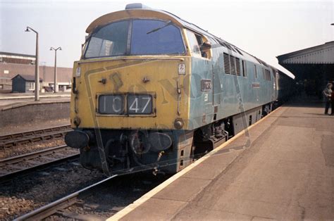 Rail Online Class 52 Western D1068 1973 Reading