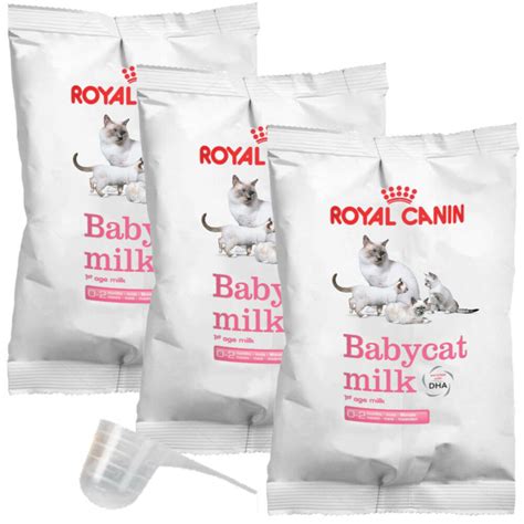 Jual Royal Canin Baby Cat Milk Makanan Kucing 300 G White Di Seller