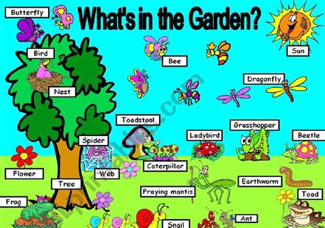 Whats In The Garden ESL Worksheet By Valtan
