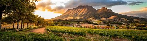 Sensational South Africa Holidays Your Endless Travel
