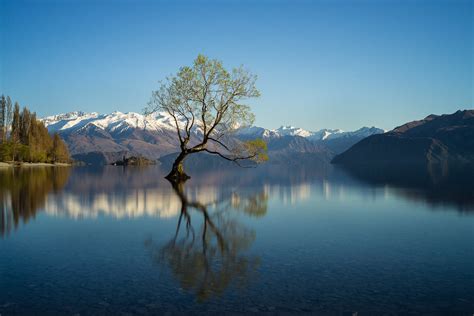 Lone Tree Lake Wanaka Sofian Flickr