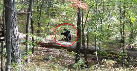 Chilling Final Picture Taken By Bear Attack Victim As His Dramatic 911
