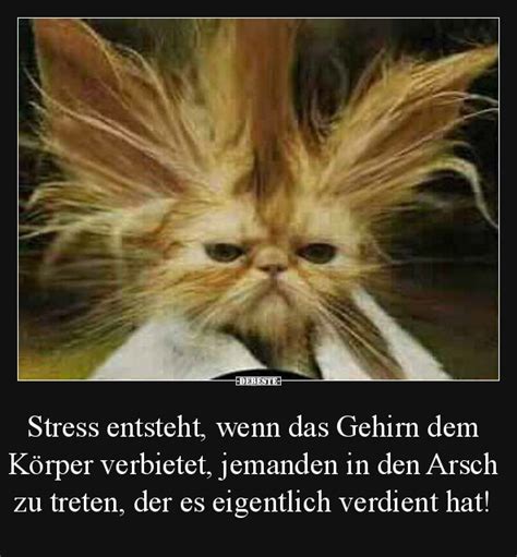 Von ihnen bekommt man öffentlich weit weniger mit. Gehirn | DEBESTE.de, Lustige Bilder, lustig foto