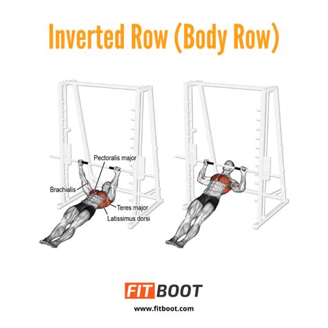 Inverted Row How To Do Benefits Variations And Muscles Worked