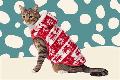 12 Of The Cutest Cat Christmas Sweaters Under 25 Daily Paws