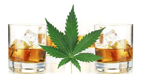 Cbd And Alcohol Why You Shouldnt Mix Them The Hemp Facts