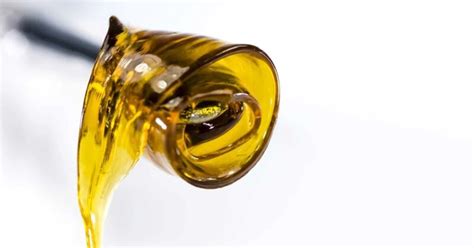 Mastering Bho Extraction A Concise Guide To Butane Hash Oil Production