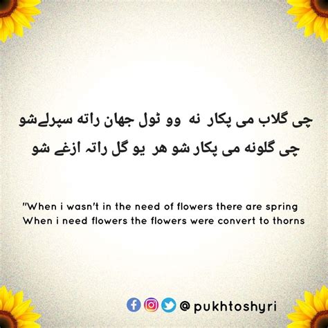 Pin By Aaaa On Pashto Poetry Pashto Quotes Poetry Pic Pashto Shayari