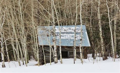 List of lakes in alberta. Beauvais Lake Provincial Park (Pincher Creek) - 2020 All ...