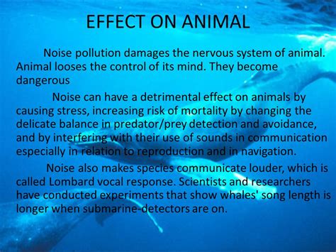 Effects Of Noise Pollution On Wildlife