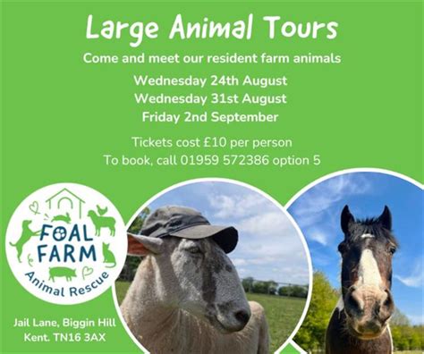 Foal Farm Animal Rescue Tour