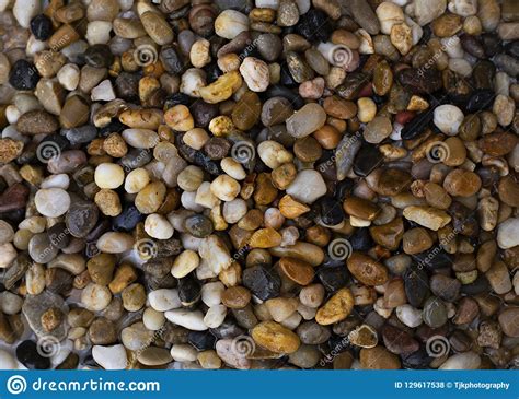 Various Coloured Pebbles On A Beach Stock Photo Image Of Shape Stone