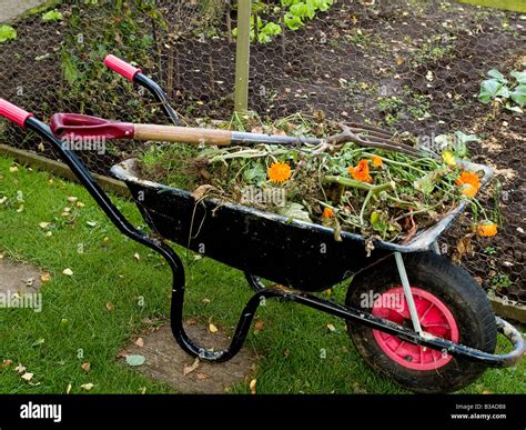 Wheelbarrow With Weeds Garden Gardening Stock Photo Alamy